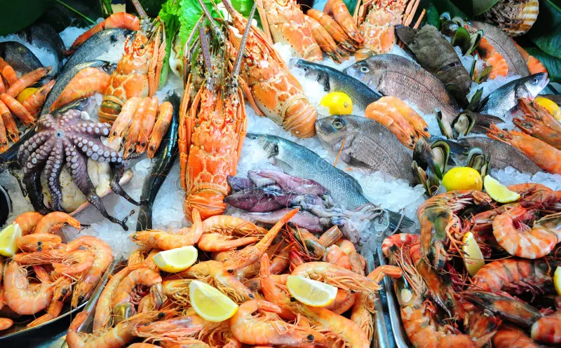 Yuk Ketahui Tips Pengiriman Live Seafood yang Aman